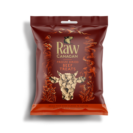 Canagan Dog Treats: Raw Freeze Dried Beef Treats 20g
