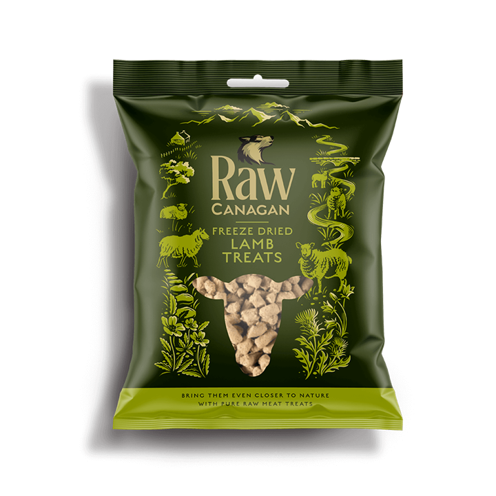 Canagan Dog Treats: Raw Freeze Dried Lamb Treats 20g