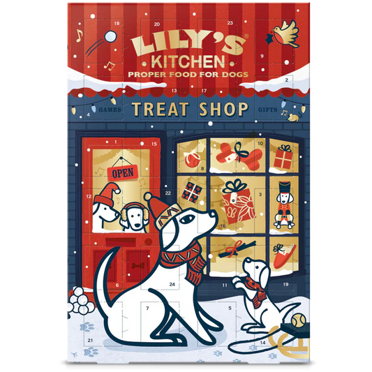 Lily's Kitchen Christmas Dog Advent Calendar 100g