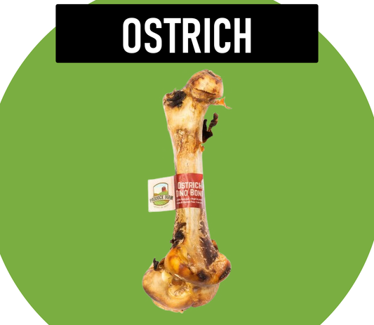 Natural Dog Treats Ostrich Dino Bone