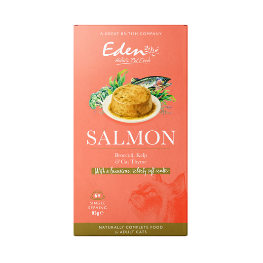 Eden Wet Cat Food: Feline Feast Salmon & Broccoli 6x85g