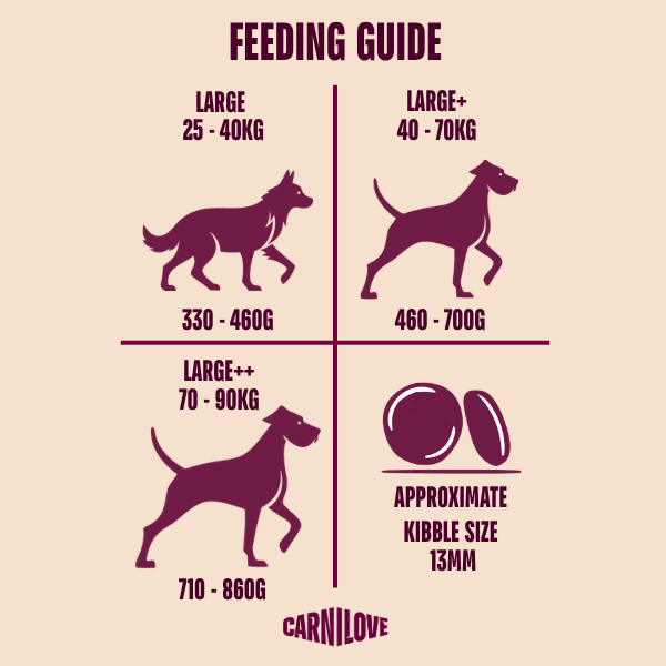 Carnilove Dog Food: Adult Large Breed Salmon & Turkey