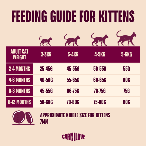 Carnilove Cat Food: True Fresh Kitten Beef