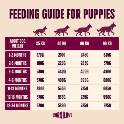 Carnilove Dog Food: True Fresh Junior Large Breed Duck