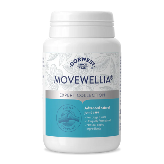 Dorwest Herbs MoveWellia Tablets for Dogs 200 Tablets