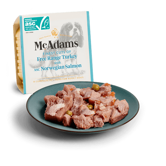 McAdams Wet Dog Food: Free Range Turkey with Salmon 150g