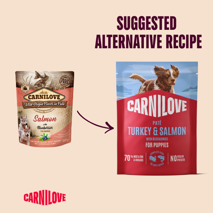 Carnilove Wet Dog Food: Pouch Puppy Turkey & Salmon in Paté 300g