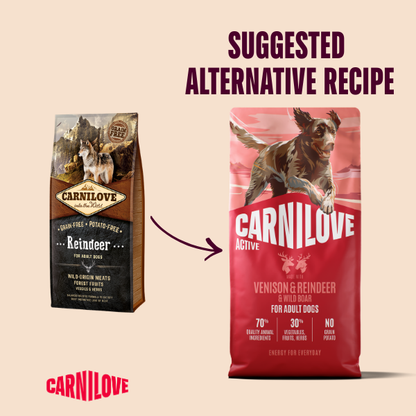 Carnilove Dog Food: Adult Venison, Reindeer & Wild Boar