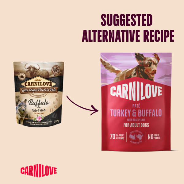 Carnilove Wet Dog Food: Pouch Adult Turkey & Buffalo in Paté 300g
