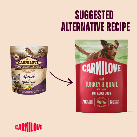 Carnilove Wet Dog Food: Pouch Adult Turkey & Quail in Paté 300g