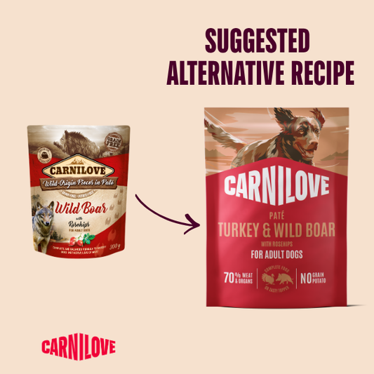Carnilove Wet Dog Food: Pouch Adult Turkey & Wild Boar in Paté 300g