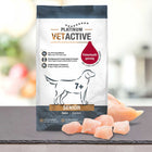 Platinum Dog Food: VETACTIVE Senior Chicken