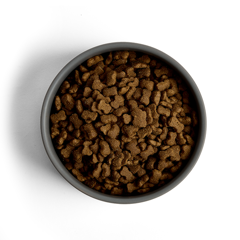 MORE Dog Food: +First Steps All Breeds Chicken 12kg