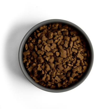 MORE Dog Food: +First Steps All Breeds Chicken 12kg