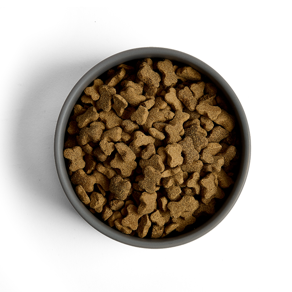 MORE Dog Food: +First Steps Large Breed Chicken 12kg (Damaged Bag)