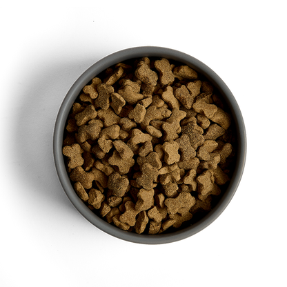 MORE Dog Food: +First Steps Large Breed Chicken 12kg (Damaged Bag)