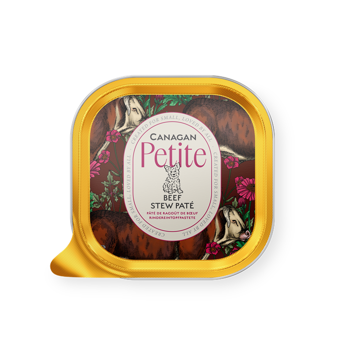 Canagan Wet Dog Food: Petite Beef Stew Pate 100g