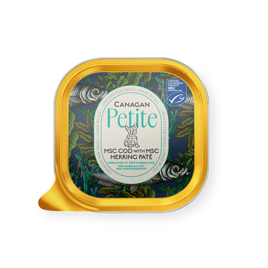 Canagan Wet Dog Food: Petite Cod with Herring Pate 100g