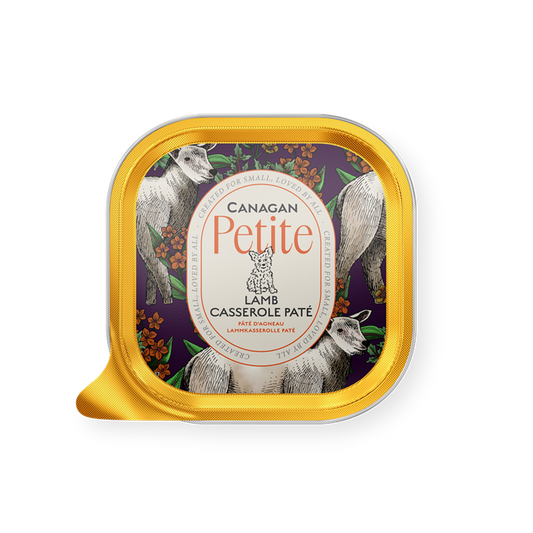 Canagan Wet Dog Food: Petite Lamb Casserole Pate 100g