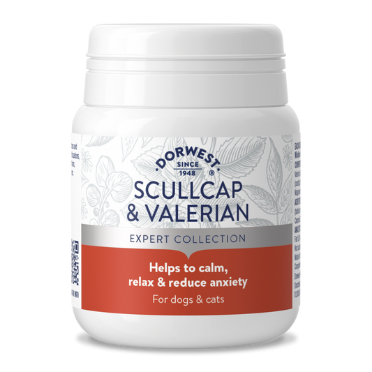Dorwest Herbs Scullcap & Valerian Tablets for Dogs & Cats
