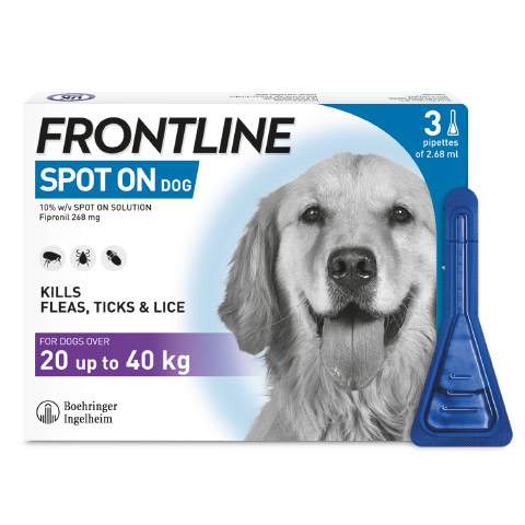 FRONTLINE Spot On Large Dog (20kg to 40kg) 1 Pipette