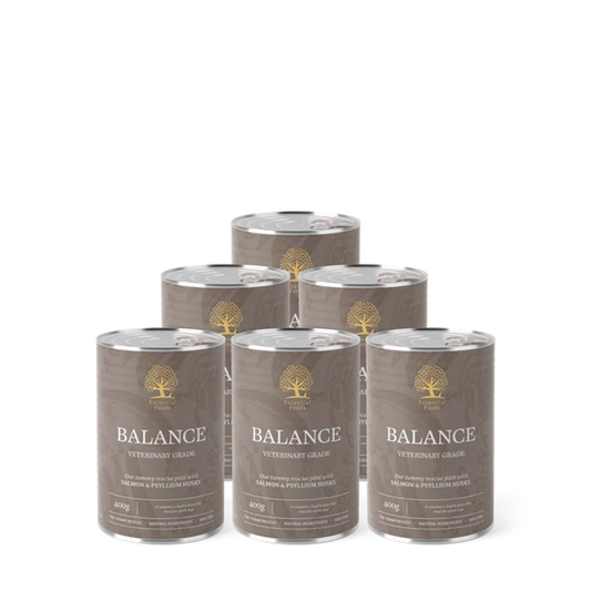 Essential Wet Dog Food: Adult Balance (Salmon & Psyllium Husks) 6x400g