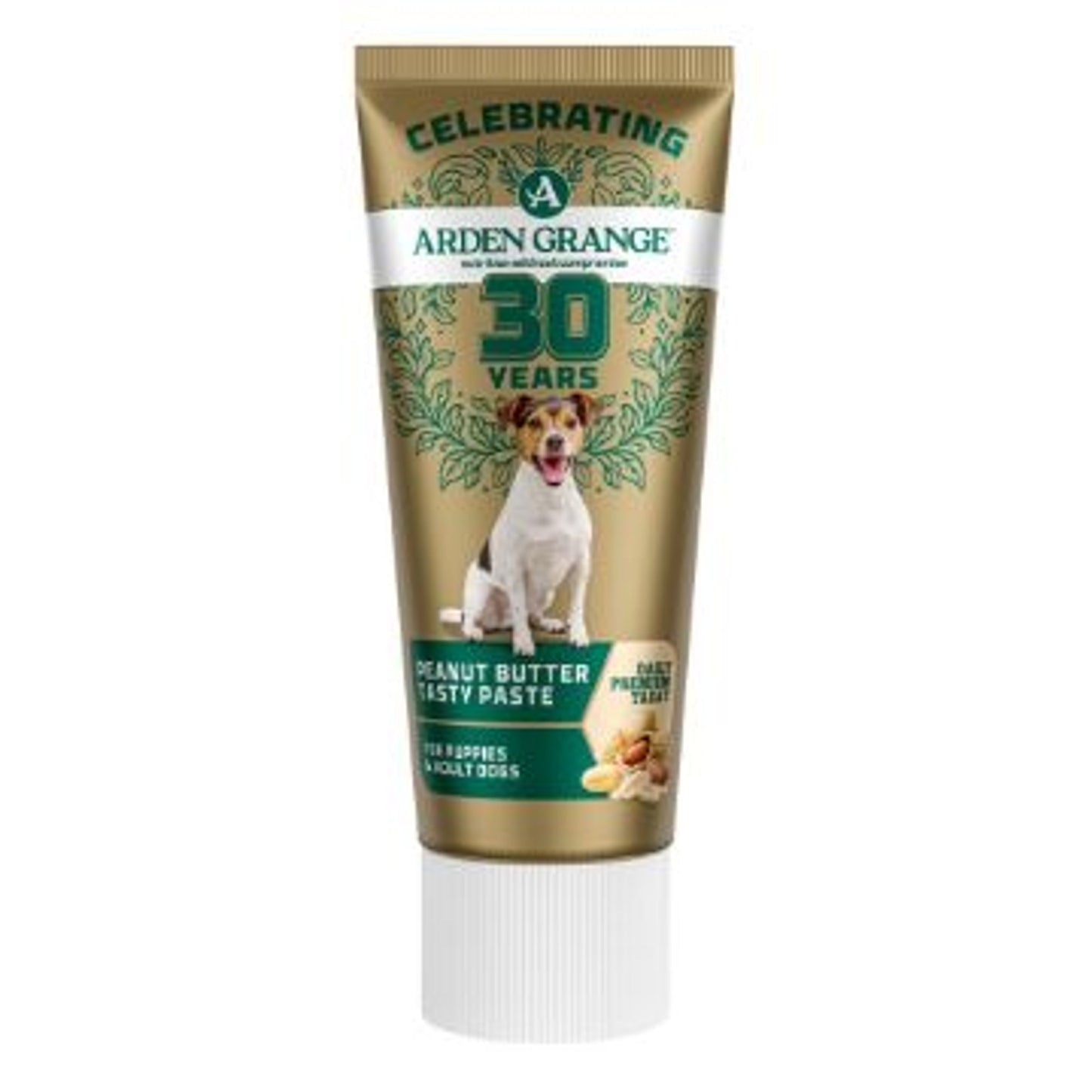 Arden Grange Dog Tasty Peanut Butter Treat Paste 75g