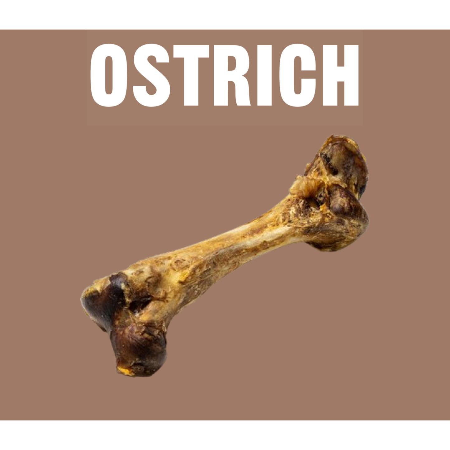 Natural Dog Treats Ostrich Dino Bone