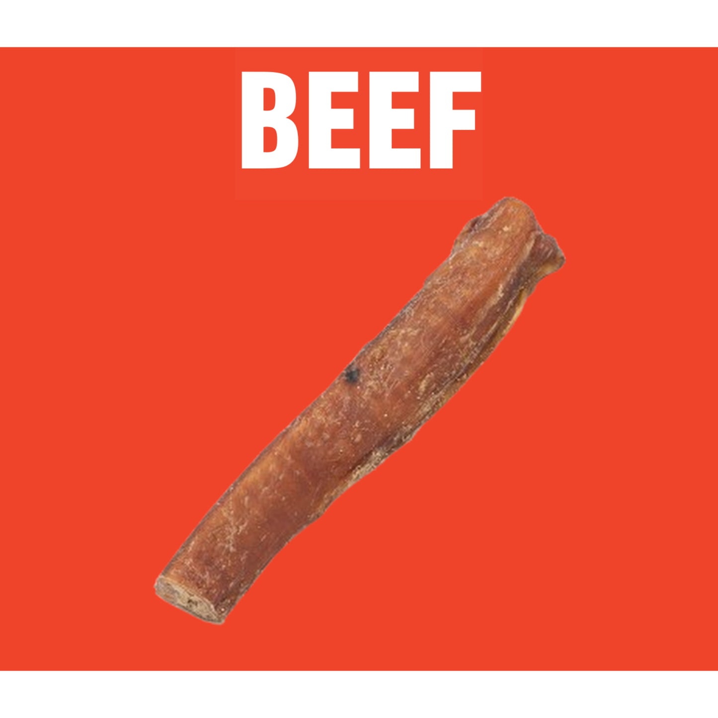 Natural Dog Treats Beef Bull Pizzle 12cm