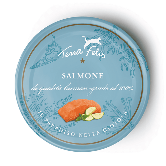 Terra Felis Wet Cat Food: Salmon